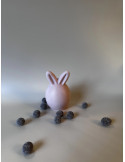 Lapin simpliste